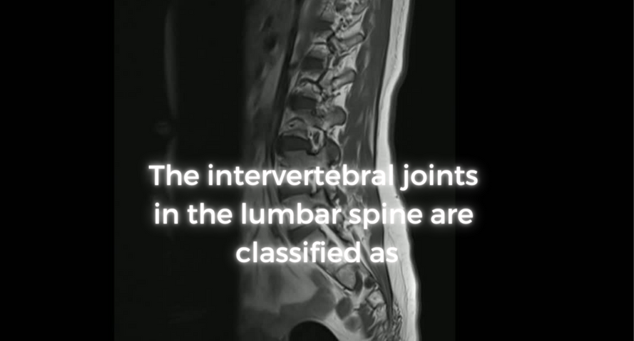 Intervertebral Joint Classification